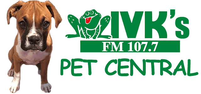 Pet Central 2